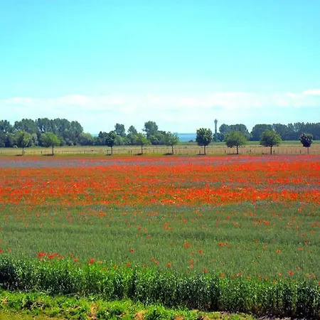 Im Roten Haus בית נופש *